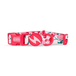 COLLAR PARA PERROS ECO BLOOM - Imagen 1