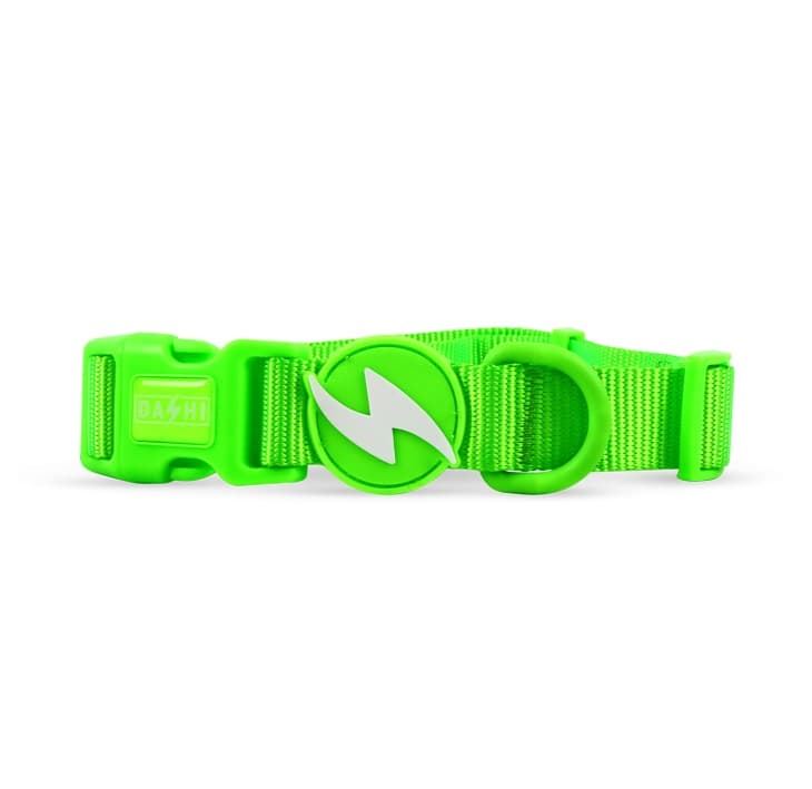 COLLAR PARA PERROS NEON GREEN - Imagen 1