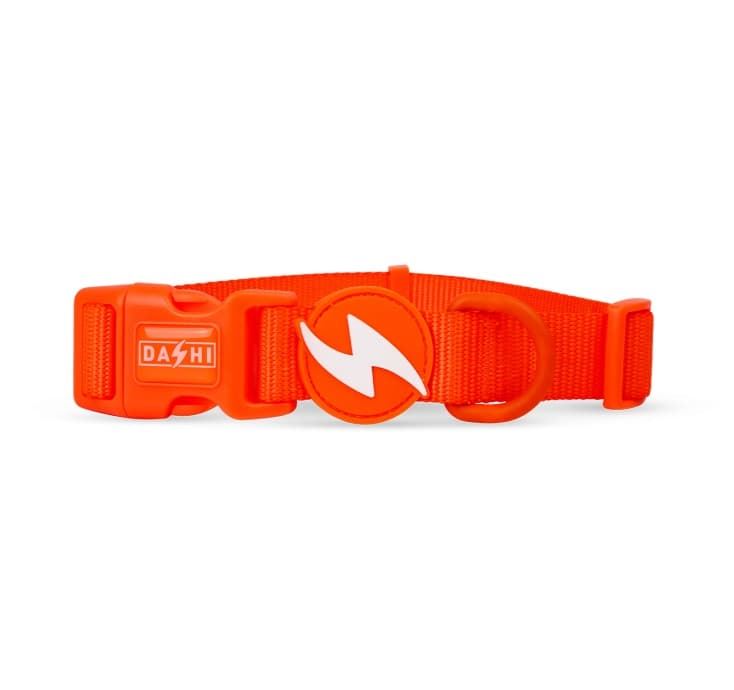 COLLAR PARA PERROS NEON ORANGE - Imagen 1