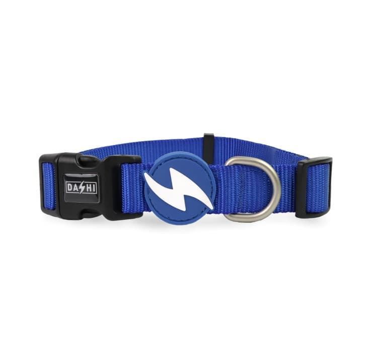 COLLAR PARA PERROS SOLID BLUE - Imagen 1