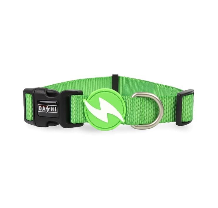 COLLAR PARA PERROS SOLID GREEN - Imagen 1