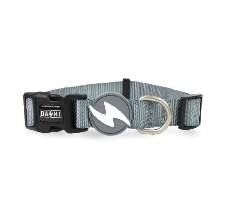 COLLAR PARA PERROS SOLID GREY - Imagen 1