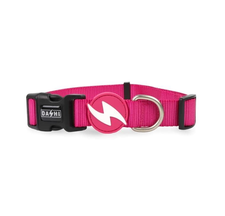 COLLAR PARA PERROS SOLID PINK - Imagen 1