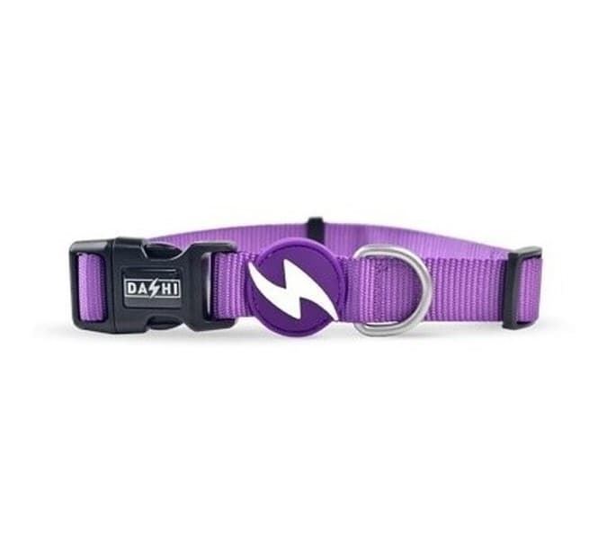 COLLAR PARA PERROS SOLID PURPLE - Imagen 1