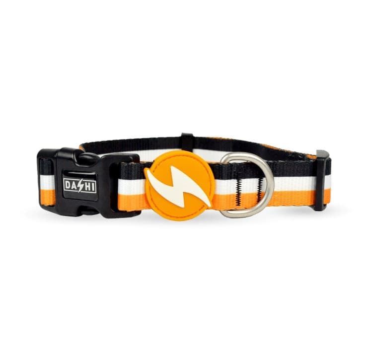 COLLAR PARA PERROS STRIPES³ ORANGE & BLACK - Imagen 1