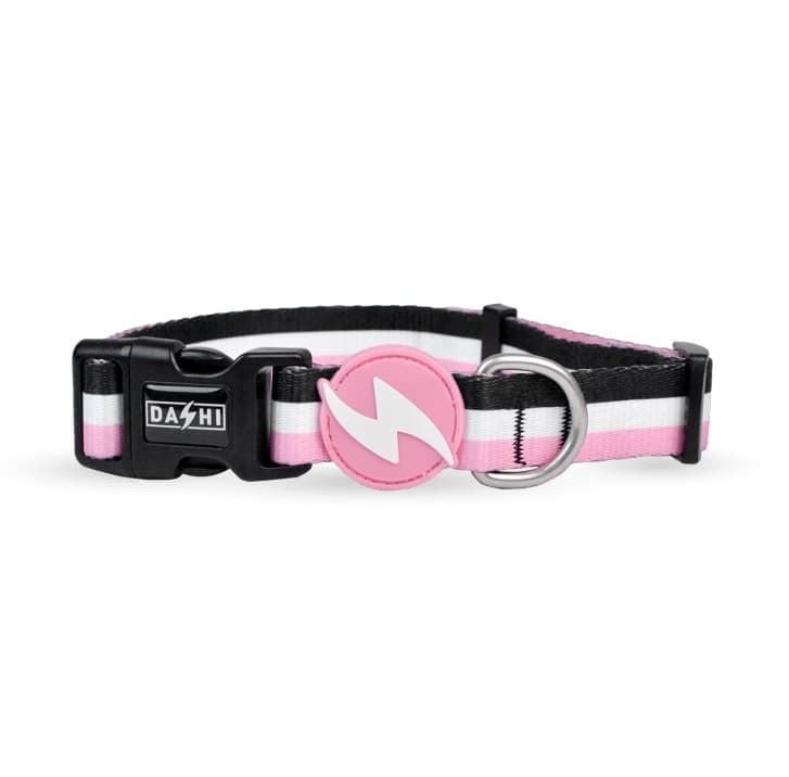 COLLAR PARA PERROS STRIPES³ PINK & BLACK - Imagen 1